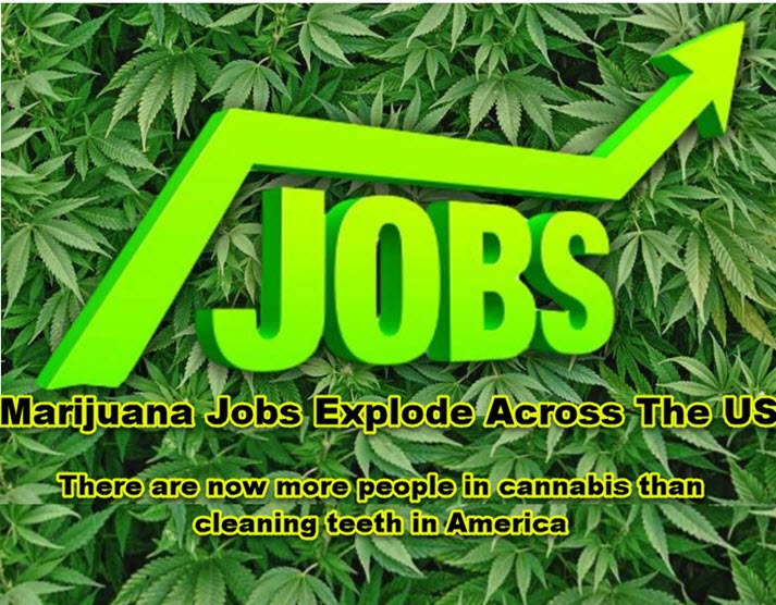 CANNABIS JOBS WITH LEGALIZATION