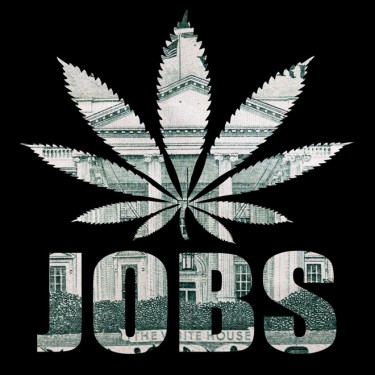 HOW MANY PEOPLE WORK IN CANNABIS