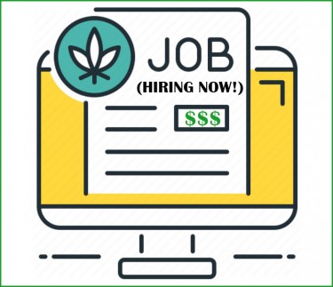 CANNABIS JOBS OPENINGS NOW HIRING