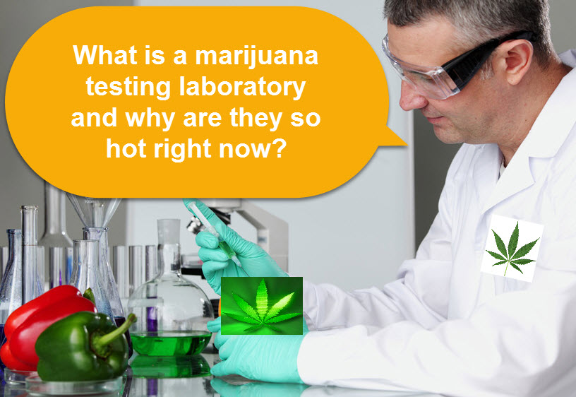 WHAT IS A CANNABIS LAB TEST
