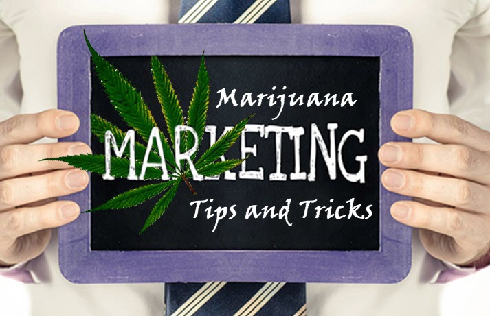 marijuana marketing online tips