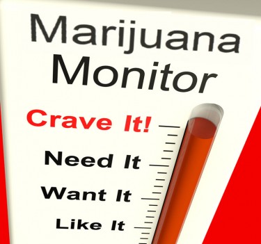 marijuana addiction monitor