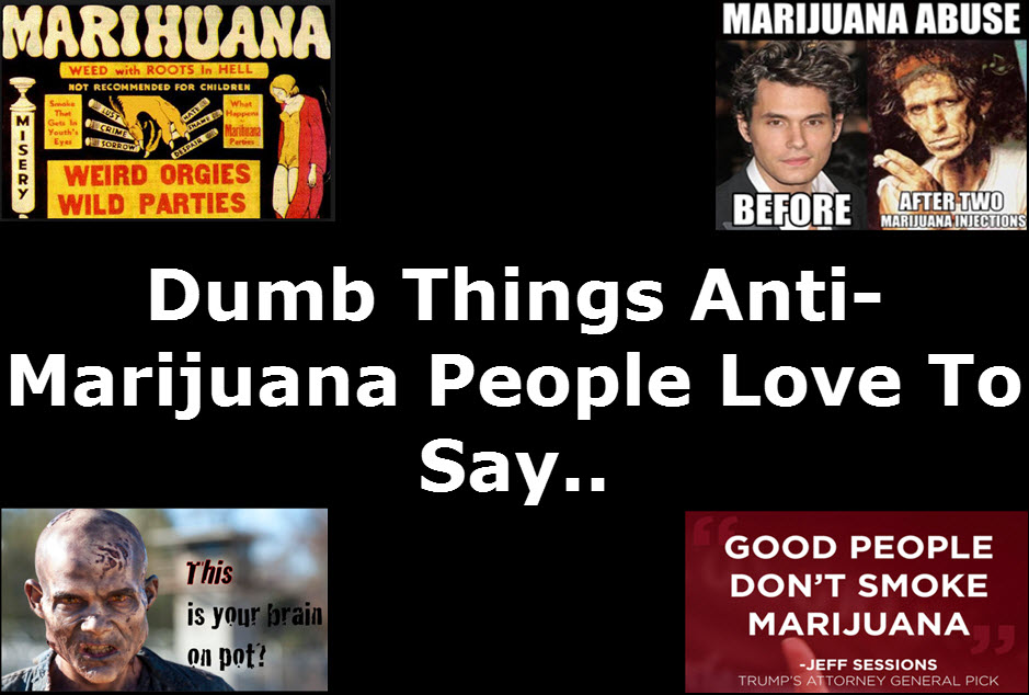 DUMB THINGS ABOUT WEED