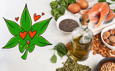 Omega-3 fatty acids and marijuana