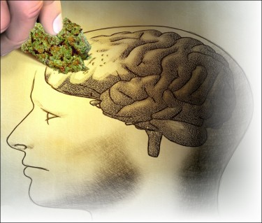 memory and cannabis