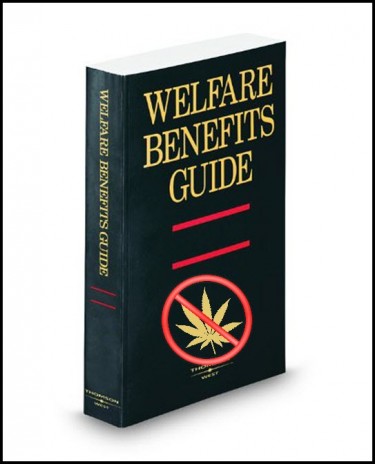 marijuana welfare benefits guide