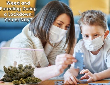 WEED PARENTING COVID