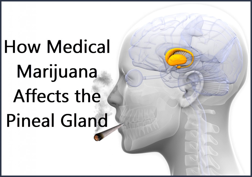 marijuana pineal gland