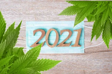 marijuana and 2021 resolutions