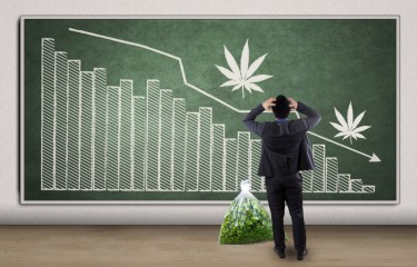 CANNABIS SALES DROP MONTH OVER MONTH