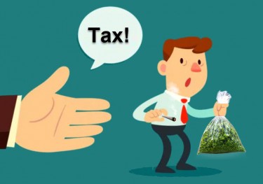 HOW MUCH TAX REVENUE COMES FROM MARIJUANA