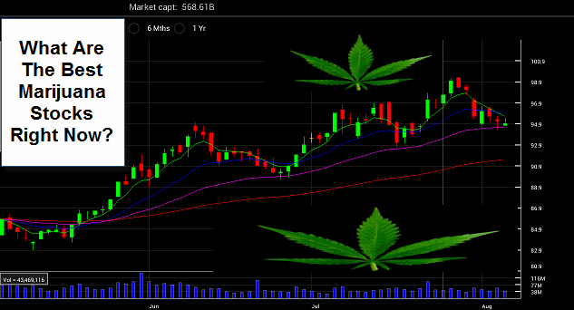 CAN MARIJUANA STOCKS MAKE YOU RICH