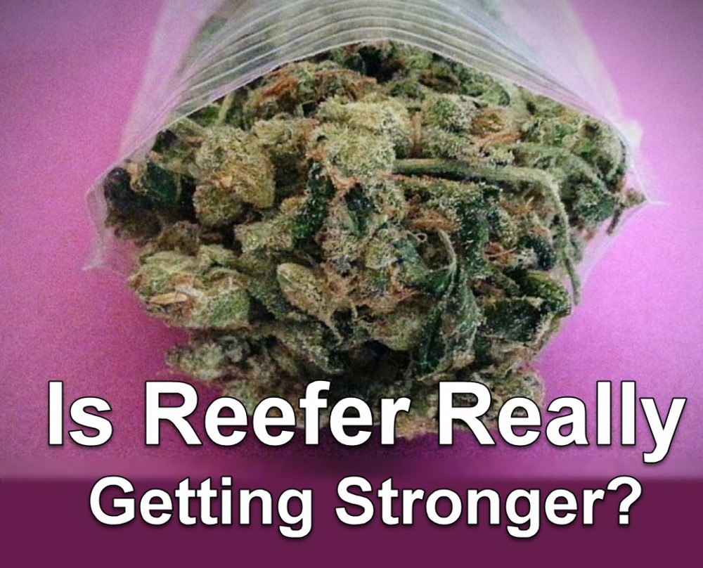 STRONGER MARIJUANA NOW