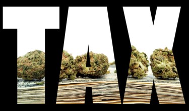 marijuana tax revenue drops