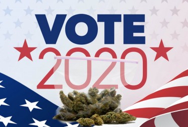cannabis voting in 2020