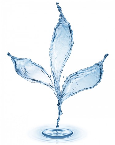 USING WATER TO GROW MARIJUANA