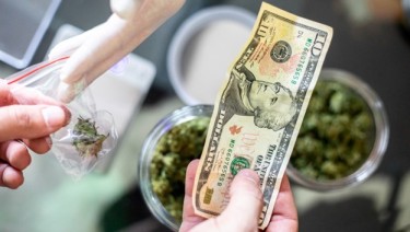 marko glisic cannabis payments