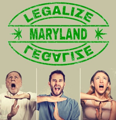maryland starts marijuana laws over