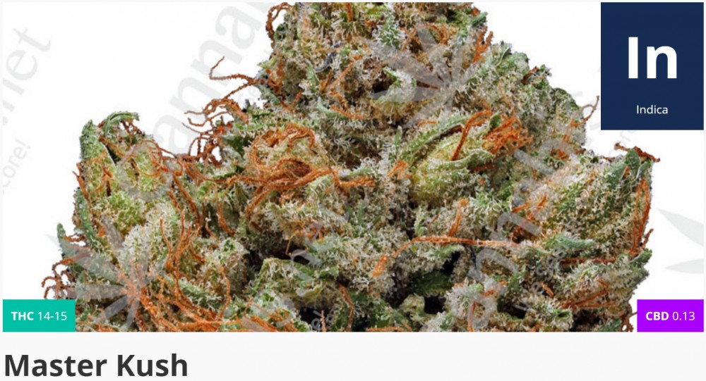 master kush strain