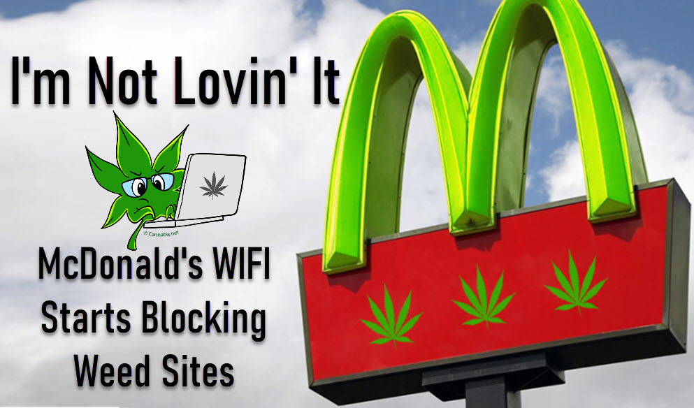 MCDONALDS WIFI CANNABIS SITES BLOCKED