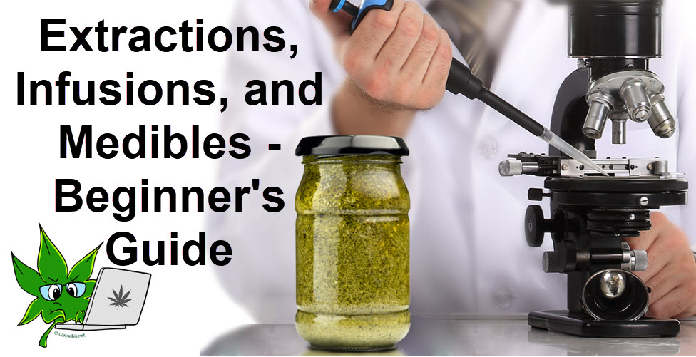 EXTRACTIONS AND INFUSIONS IN CANNABIS