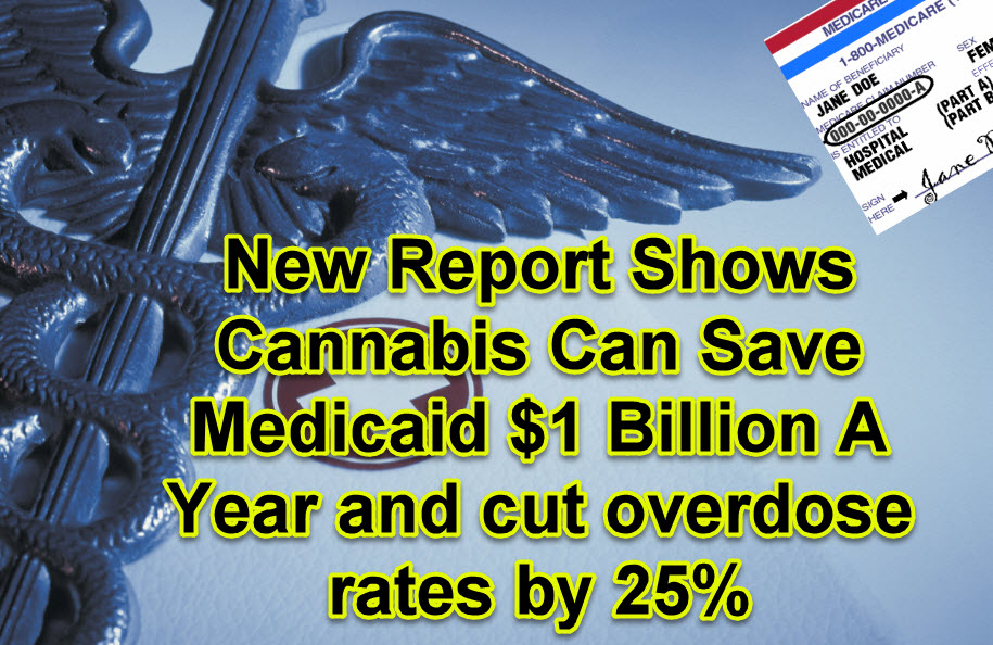 CANNABIS CUTS OVERDOSE RATES