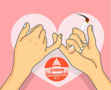 medical marijuana in DC self-certify