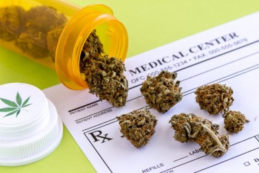 medicinal cannabis 101