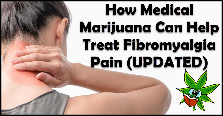 CANNABIS FOR FIBROMYALGIA UPDATED STUDY