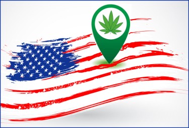 which states have medical marijuana in 2022