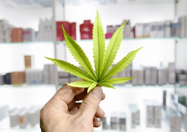 medical marijuana at schools