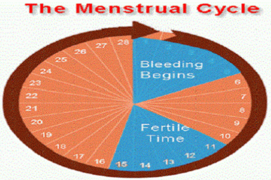 menstrual cycle and cannabis