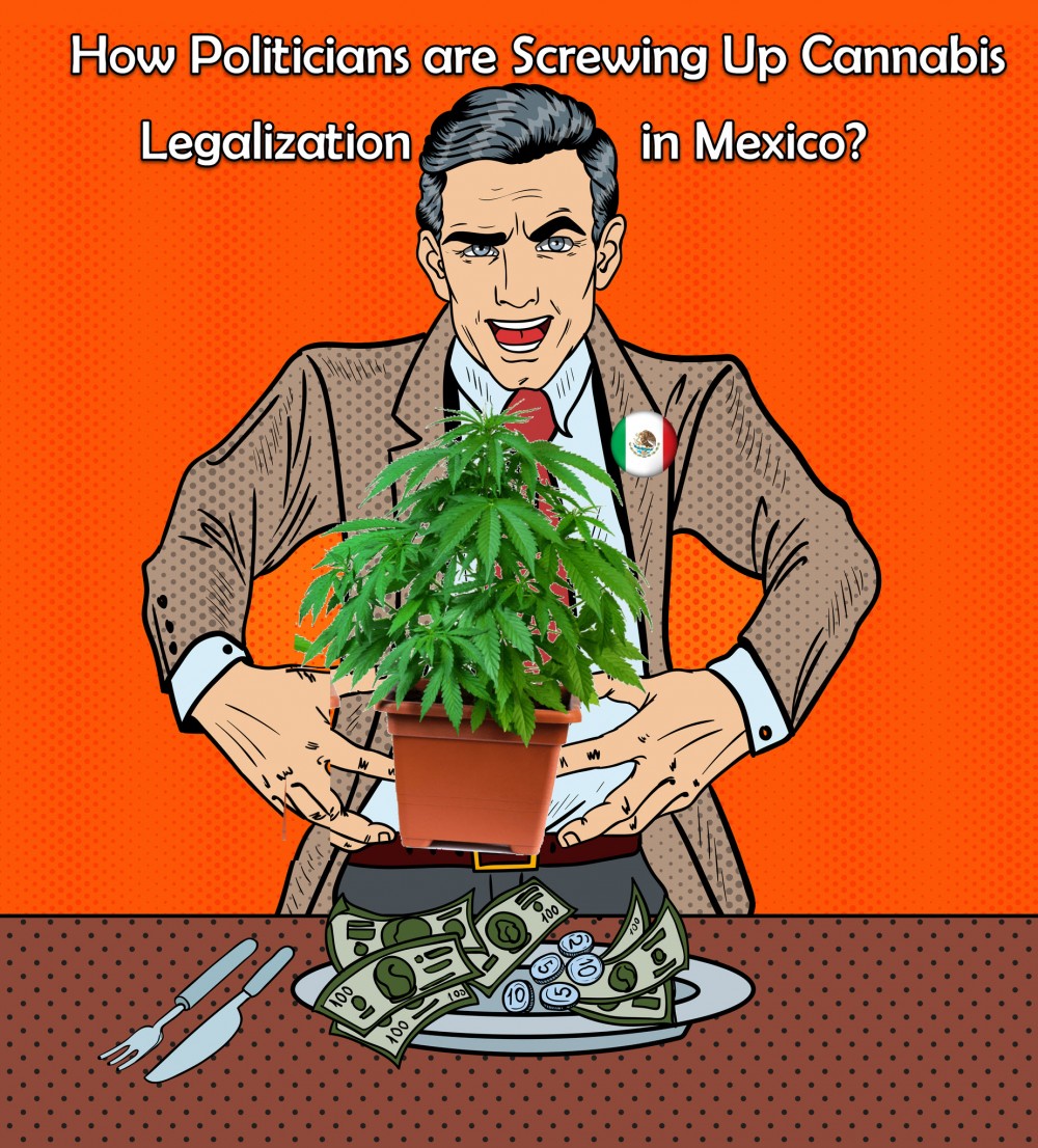 MEXICAN POLITICIANS SLOW WEED DOWN