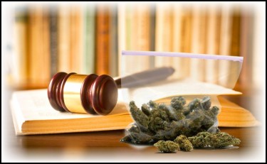 mexican supreme court on weed