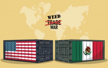 MEXICO IMPORTS US WEED NOW