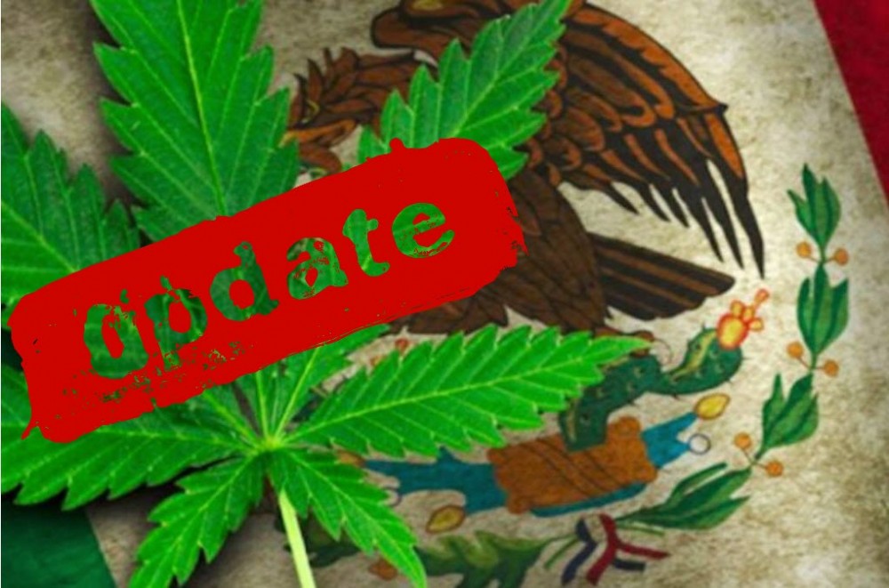 THE MEXICAN MARIJUANA UPDATE FOR MEXICO