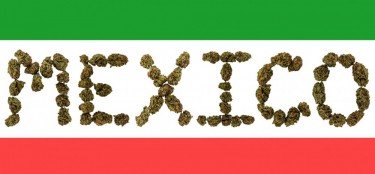 MEXCIO LEGALIZES WEED