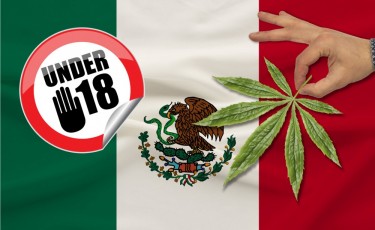 mexico legalizes cannabis for 18 and up