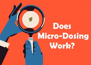 DOES MICRO DOSING WORK
