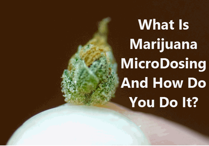 MICRODOSING CANNABIS 