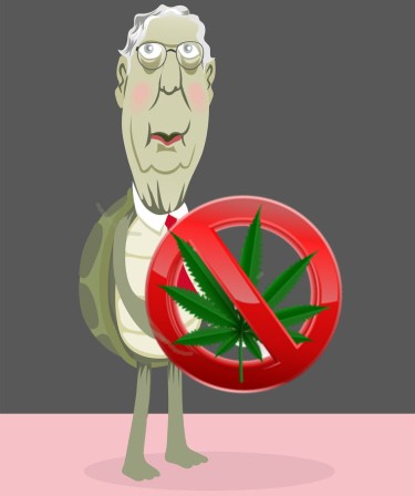 MITCH MCCONNELL ON WEED
