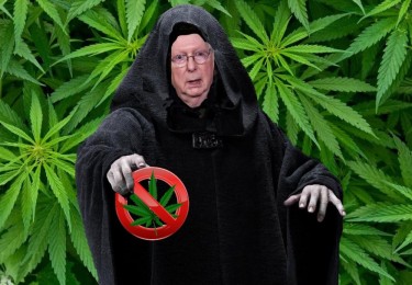 MITCH MCCONNELL BLOCKS WEED