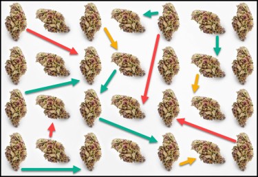 mixing cannabis strains for flavor