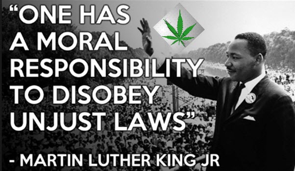 obey unjust cannabis laws