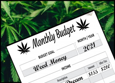 monthly marijuana budget