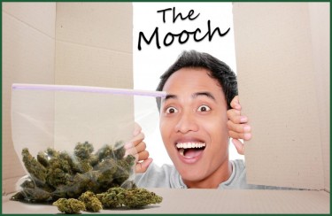 THE MOOCH WHO TAKES WEED