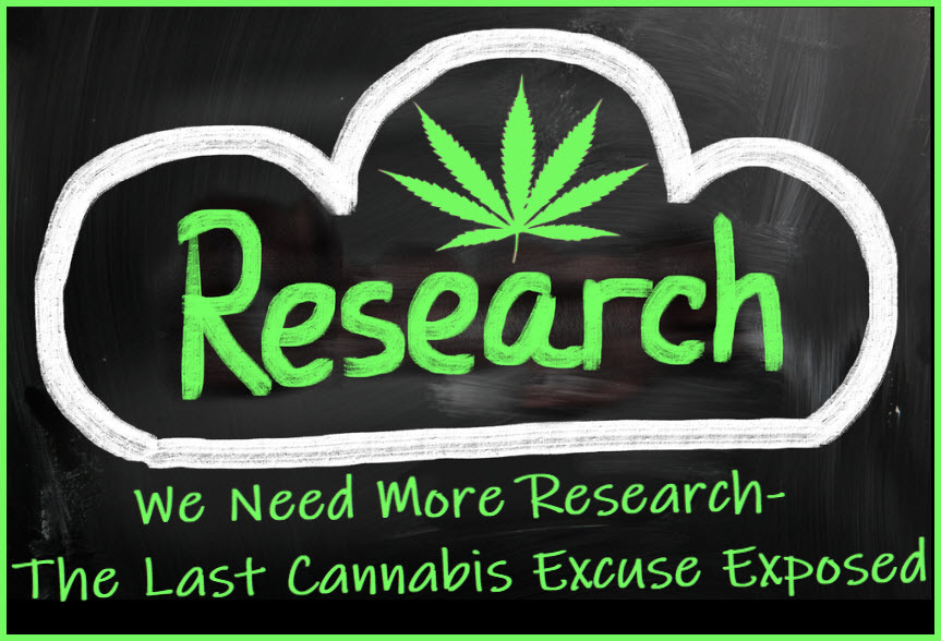 cannabis research