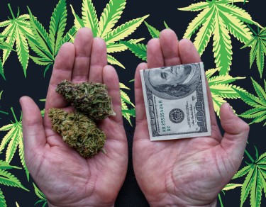 most expensive marijuana strains