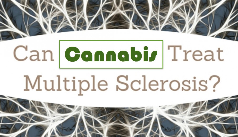 CANNABIS AND MS