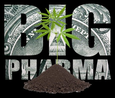 MSO big pharma